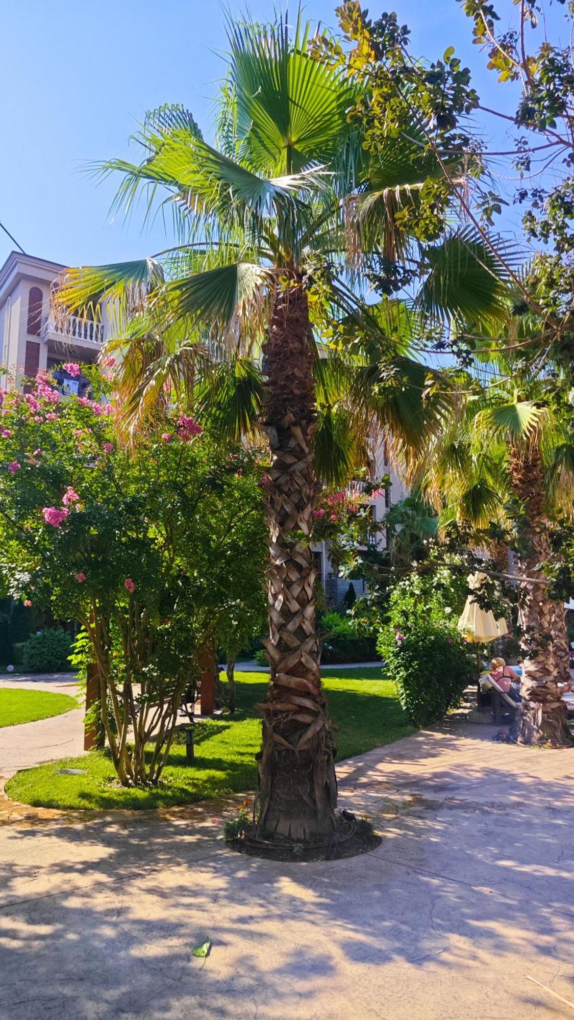 Attractive Family Apartment In Sunny Beach Cascadas Family Resort Buitenkant foto